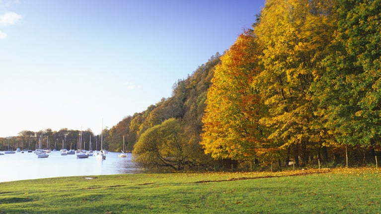 View over the water near the ferry on the Claife Estate on the western shore of Windermere, Lake District